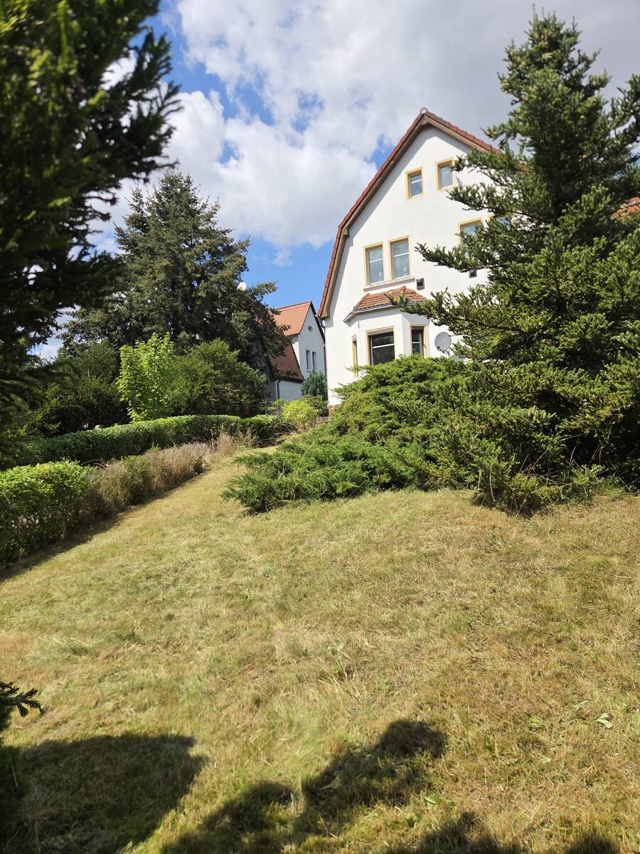 Hangwiese an einem Wohnhaus in Wurzen nach der Mahd: kurzer, gepflegter Rasen bis an die Hecke